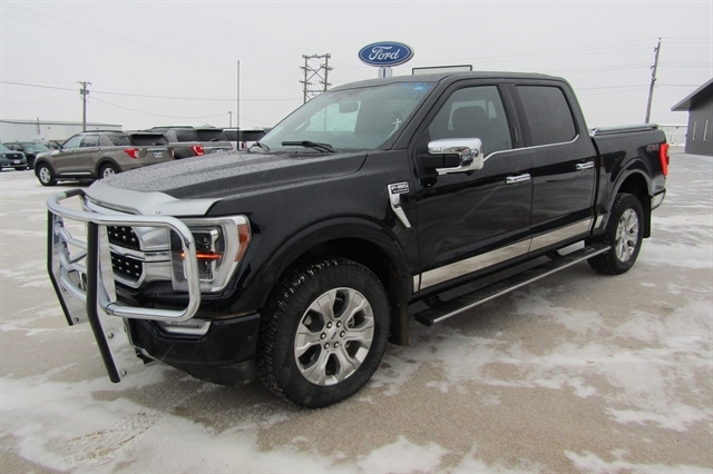 2022 Ford F-150 Platinum's photo