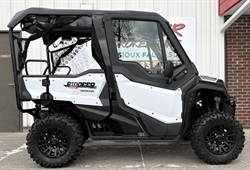 2021 HONDA PIONEER