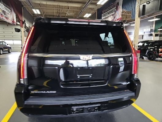 2020 Cadillac Escalade ESV AWD Platinum's photo