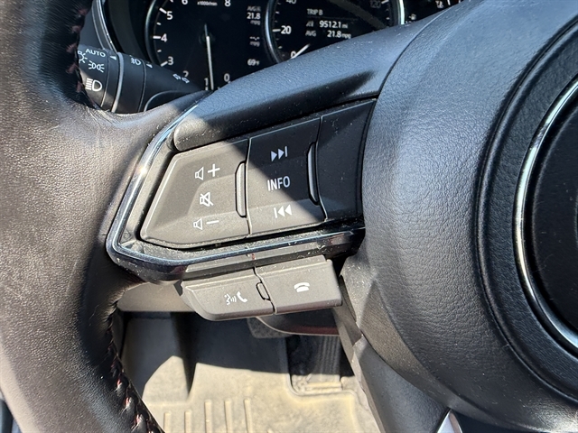 2021 Mazda CX-9 Carbon photo 21