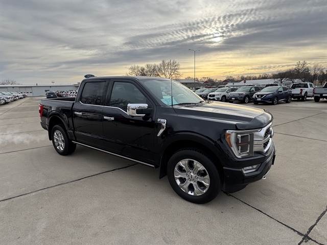 2022 Ford F-150 Platinum's photo