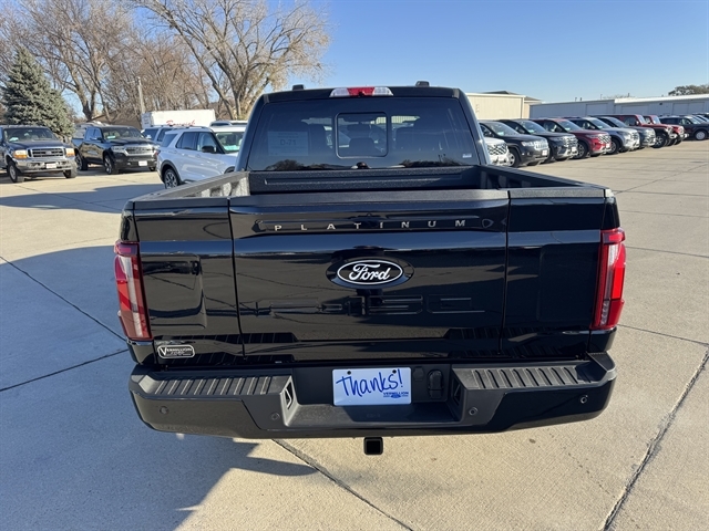 2025 Ford F-150 Platinum photo 3
