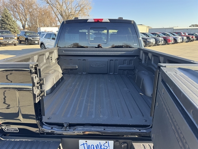 2025 Ford F-150 Platinum photo 4