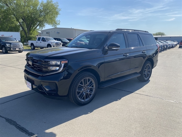 2026 Ford Expedition Platinum 4x4's photo