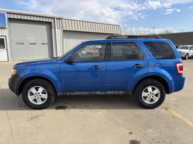 Used 2011 Ford Escape XLT with VIN 1FMCU9DGXBKA27769 for sale in Pierre, SD