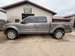 2010 FORD F-150