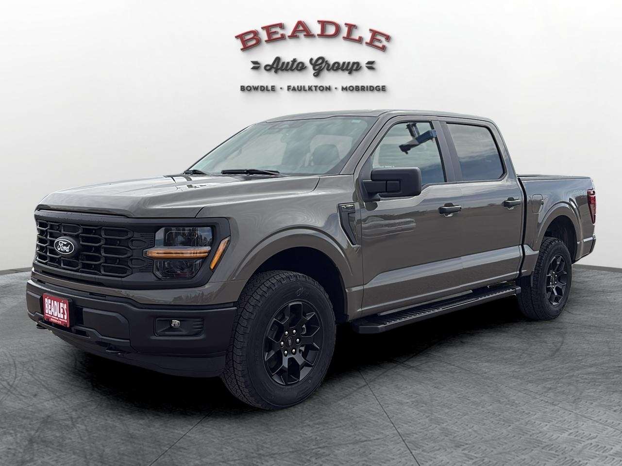 2025 Ford F-150 STX's photo