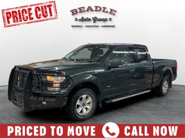 2015 FORD F-150