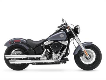 2014 HARLEY-DAVIDSON® FLS - SOFTAIL SLIM®