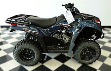 2025 KAWASAKI BRUTE FORCE