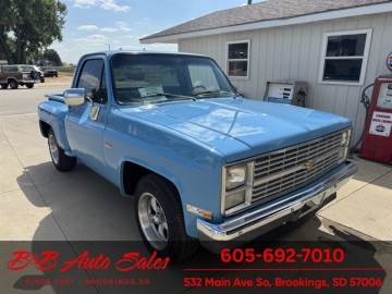 1983 CHEVROLET C10