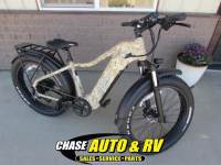 2024 YOUNG ELECTRIC E-SCOUT PRO