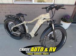 2024 YOUNG ELECTRIC E-SCOUT PRO