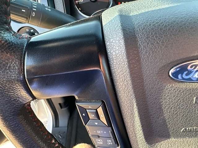 2014 Ford F-150 FX4 - Photo 19
