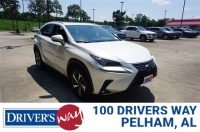 2021 LEXUS NX
