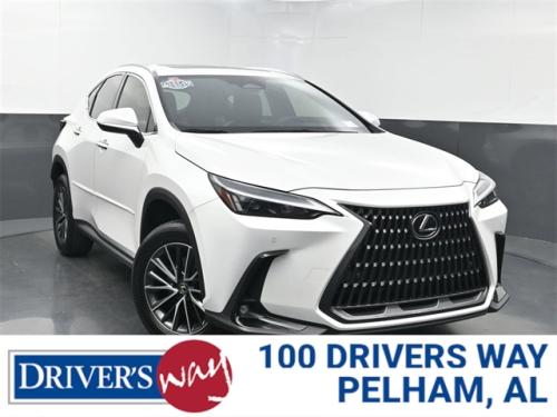 2024 LEXUS NX