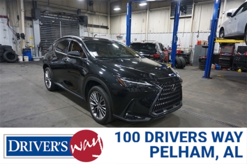 2022 LEXUS NX
