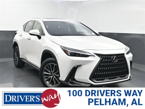 2024 LEXUS NX