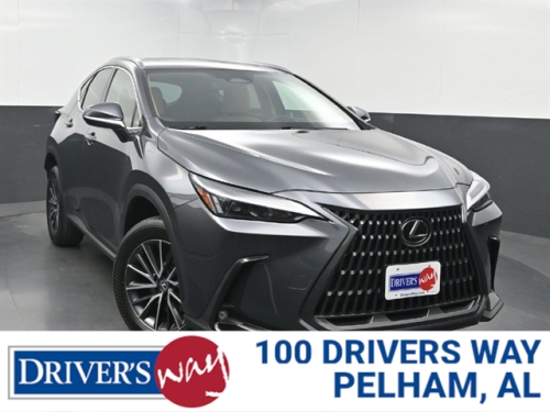 2024 LEXUS NX