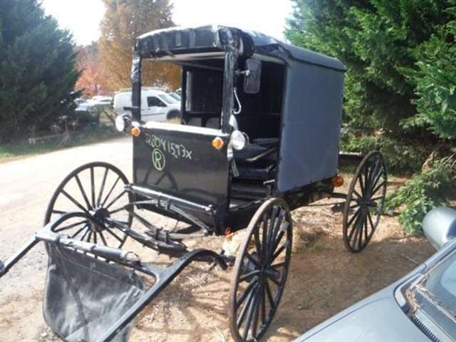 Horse and buggy for hot sale sale