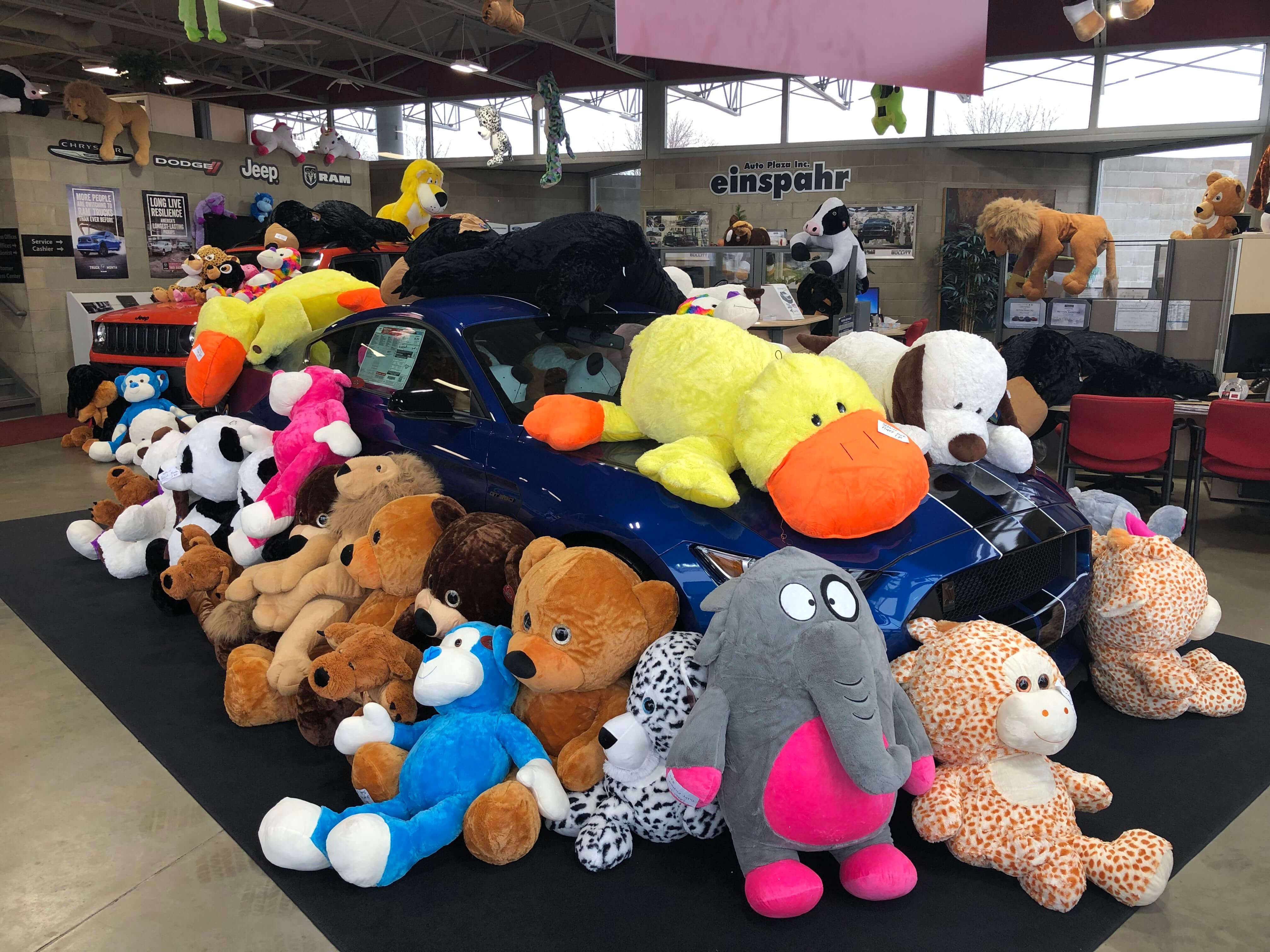 Stuffed animals in Brookings for those who purchase with Einspahr
