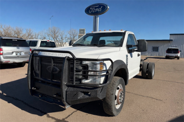 2019 FORD F550