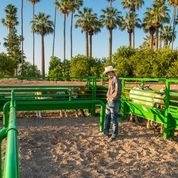 2020 CHUTE HELP ROPING BOX