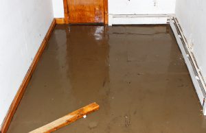 Let us share a little sumpin sumpin: How sump pumps work