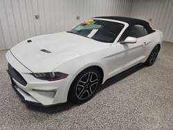 2023 FORD MUSTANG