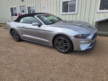 2021 FORD MUSTANG