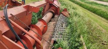 1950 CASE IH UNKNOWN