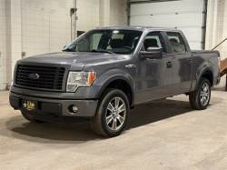 2014 FORD F-150