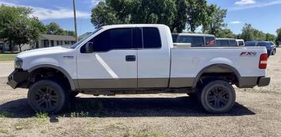 2004 Ford F-150