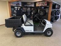 2021 CLUB CAR Carryall