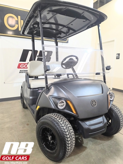 2018 YAMAHA Drive2