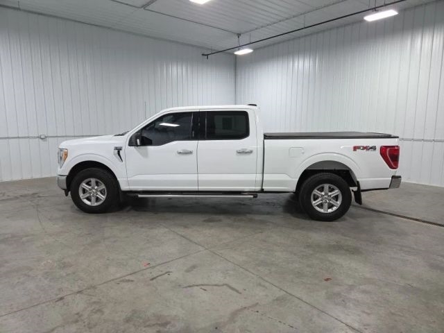 2023 Ford F-150's photo