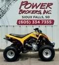 2008 CAN-AM DS 250
