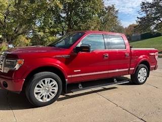 2013 FORD F 150 PLATNUM