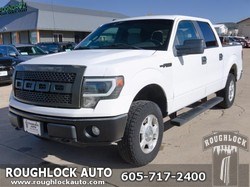 2010 Ford F-150
