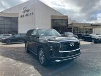 2025 INFINITI QX80