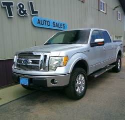 2010 FORD F-150