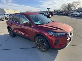 2026 Ford Escape